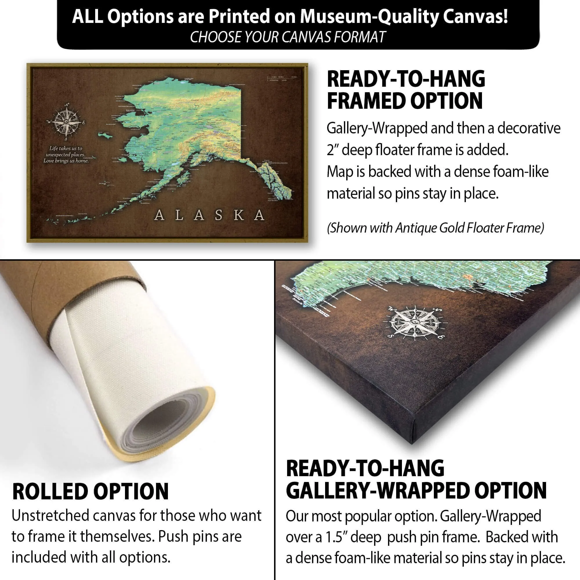 Alaska Push Pin Terrain Map