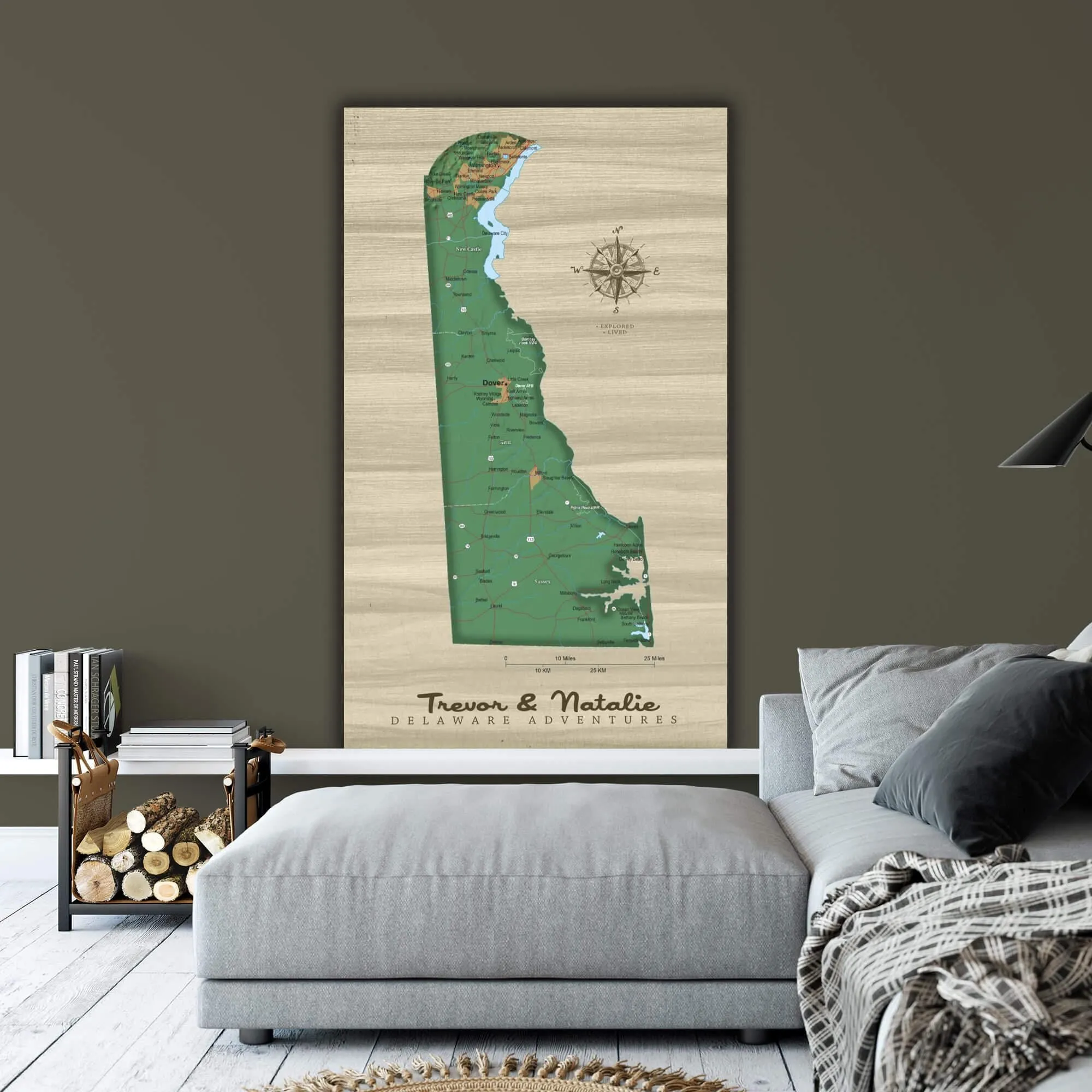 Delaware Push Pin Terrain State Map