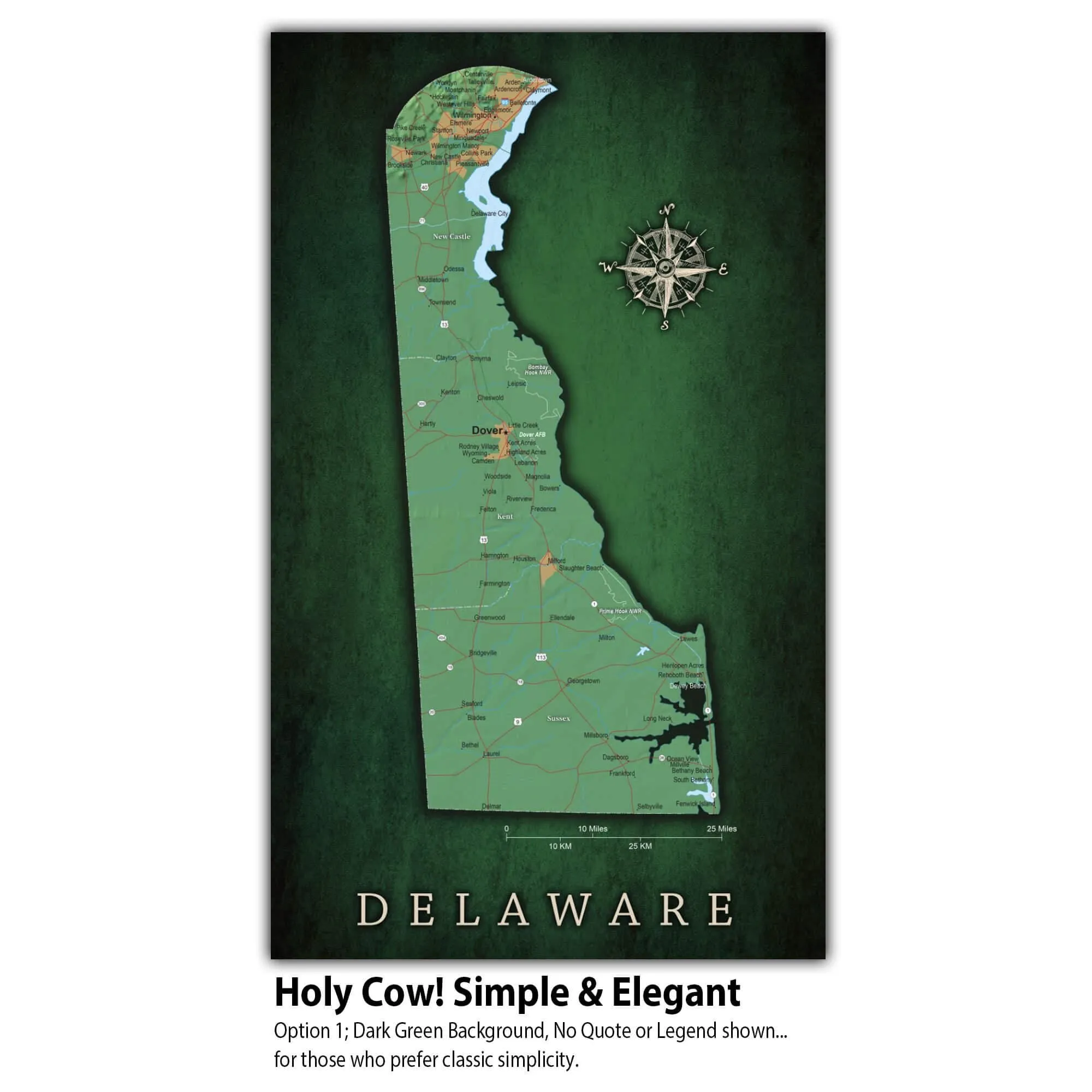 Delaware Push Pin Terrain State Map