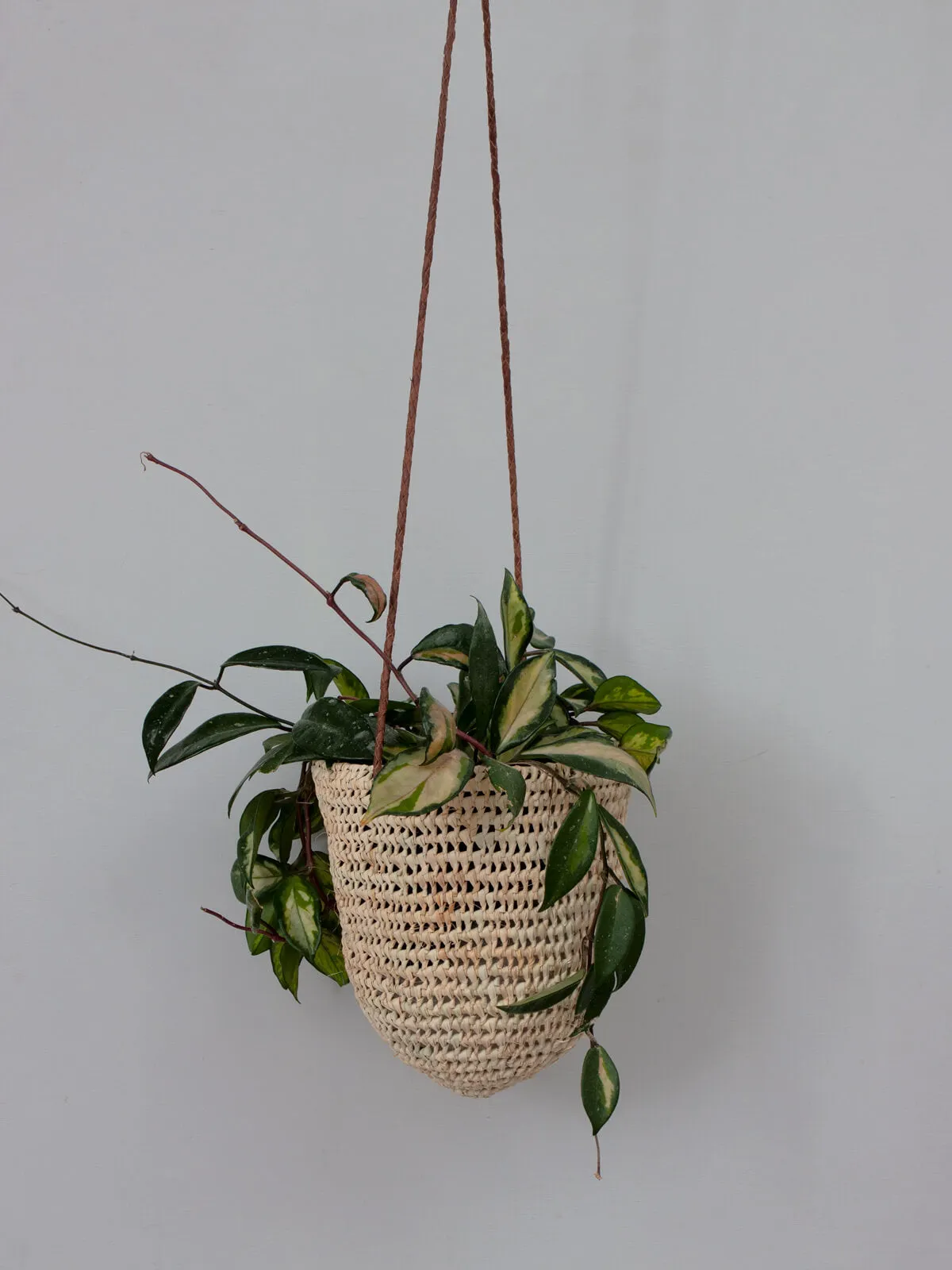 Open Weave Dome Hanging Baskets, Tan