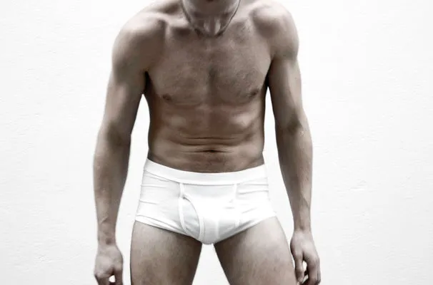 The White Briefs Elm White